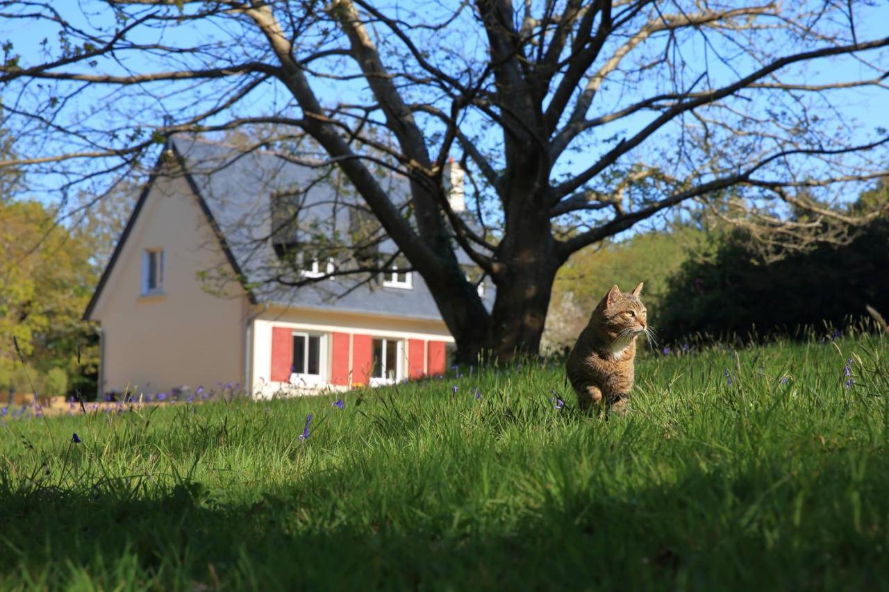 Aux Arbres Chanteurs Ploulech Zewnętrze zdjęcie