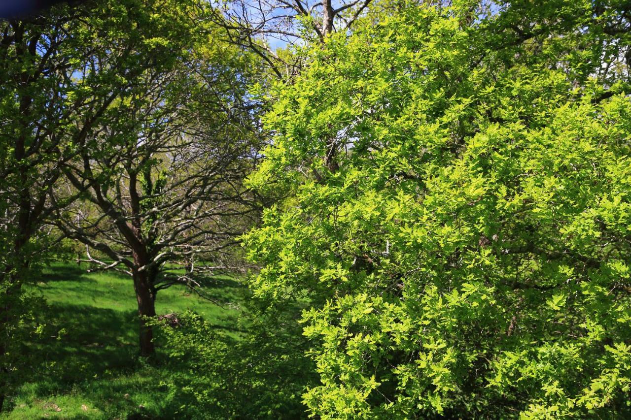 Aux Arbres Chanteurs Ploulech Zewnętrze zdjęcie