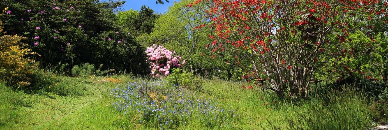 Aux Arbres Chanteurs Ploulech Zewnętrze zdjęcie