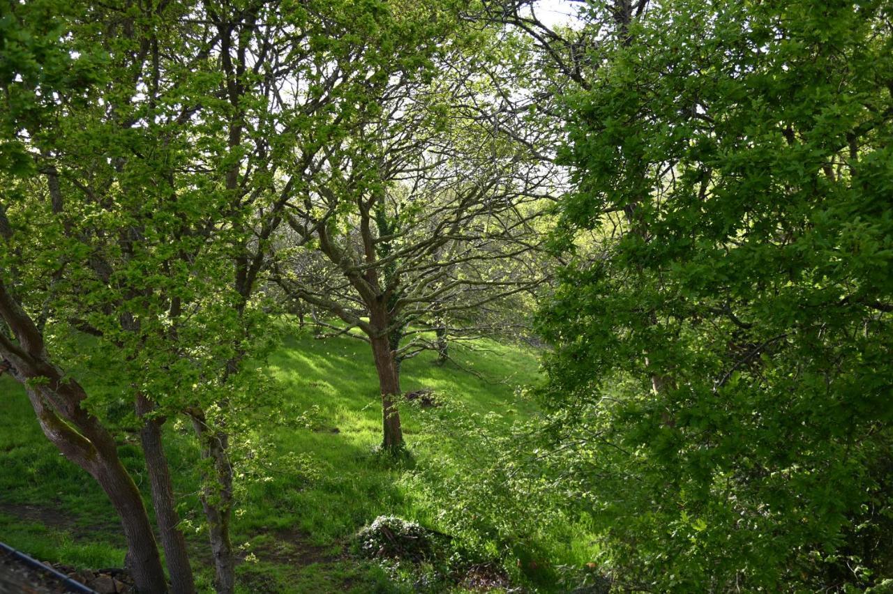 Aux Arbres Chanteurs Ploulech Zewnętrze zdjęcie